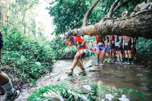 BIB: 
                            <button type="button" onclick="openModal(25466588)" class="btn btn-primary btn-sm float-right btn-popup" data-toggle="modal" data-target=".modal-high-quality">
                        <i class="fas fa-shopping-cart"></i> Add to Cart
                    </button>
                                            <button type="button" onclick="isThisMe(25466588, true)" class="btn btn-success btn-sm float-right btn-popup btn-isme hidden" data-toggle="tooltip" data-placement="bottom" title="นี่คือรูปของคุณใช่ไหม คลิกที่นี่เพื่อเอาเข้าอัลบั้ม">
                        <i class="fas fa-plus"></i> Add to album
                    </button>
                    <button type="button" onclick="isThisMe(25466588, false)" class="btn btn-warning btn-sm float-right btn-popup btn-isnotme hidden">
                        <i class="fas fa-ban"></i> Remove from album
                    </button>